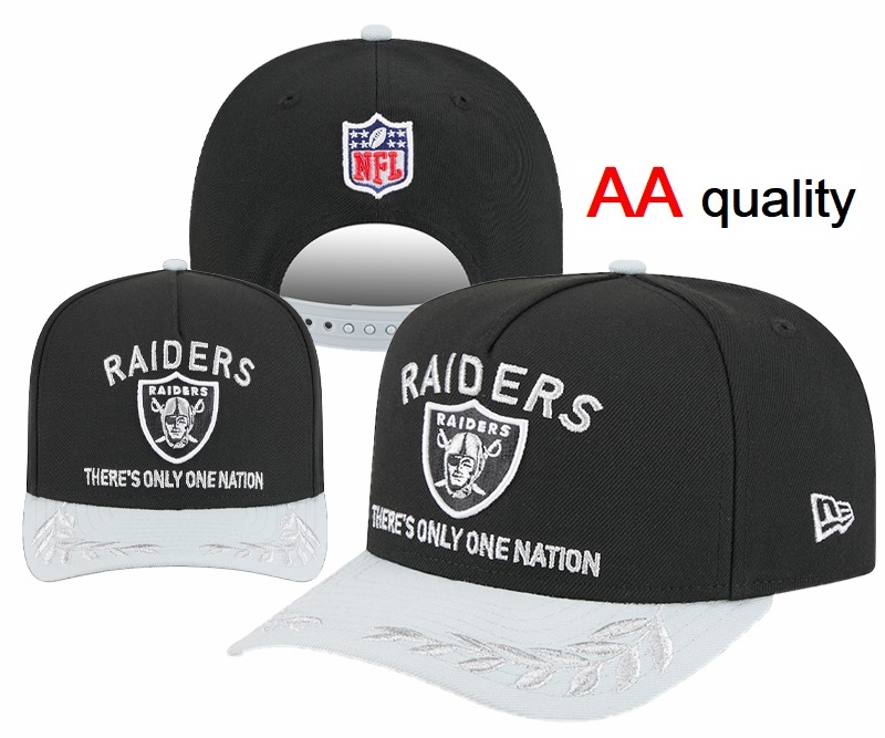 Las Vegas Raiders 2025 Stitched Snapback Hats 029